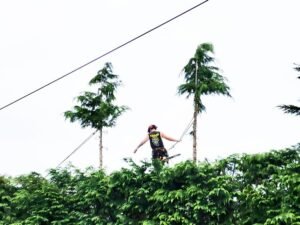 Crown Lifting