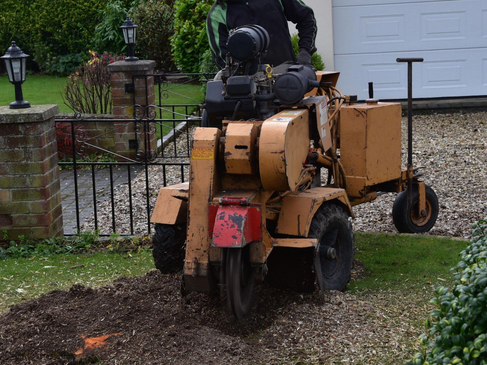 Crown Reduction vs Crown Thinning: Which Service Does Your Tree Need?