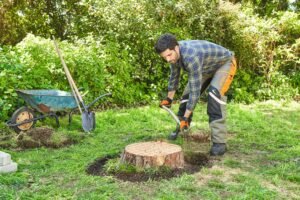 Stump Removal