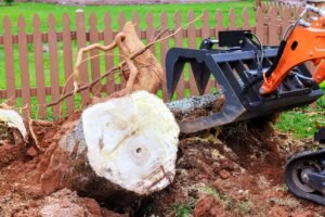 Stump Removal