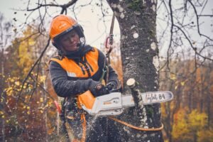 Tree Felling