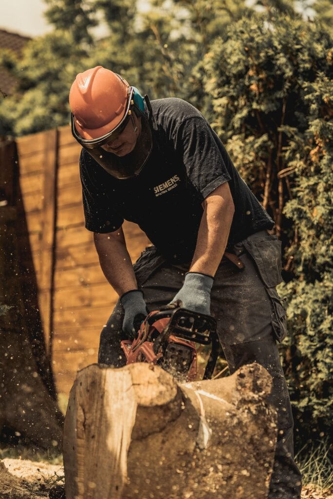 Tree Surgeons Northampton